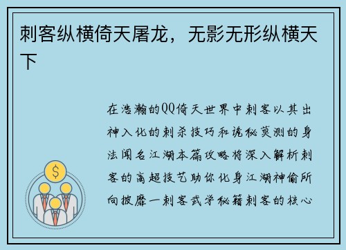 刺客纵横倚天屠龙，无影无形纵横天下